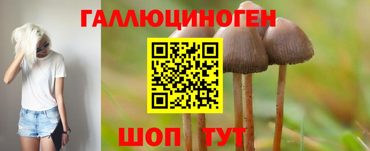 как найти закладки  Галлюциногенные грибы Magic Shrooms  Орск  Вход с VPN  Галлюциногенные грибы ЛСД 